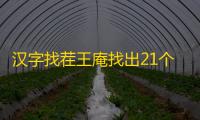 汉字找茬王庵找出21个字攻略
